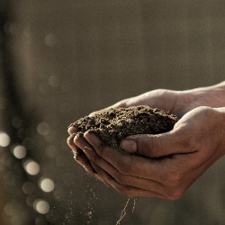 Existing Composter