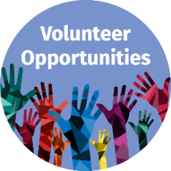 Other/Any Volunteer Type