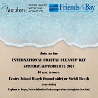 International Coastal Cleanup Volunteer