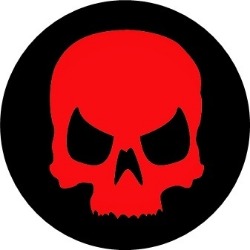 5b7ca6fea83af_skull.jpg