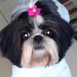 62e99a52ca22d_1-Chloe.jpg