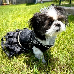 62e9b534e883a_1-Zoe-Brynn.jpg